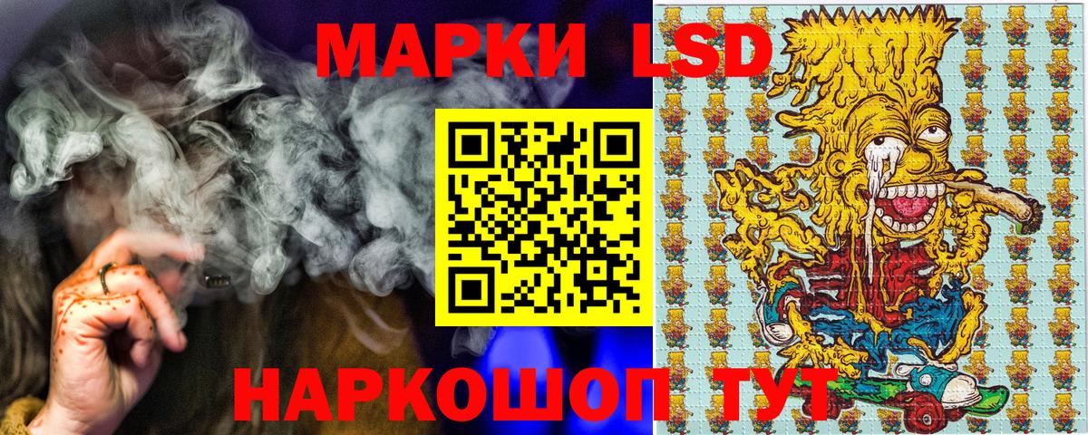 Бошки Шишки Муравленко