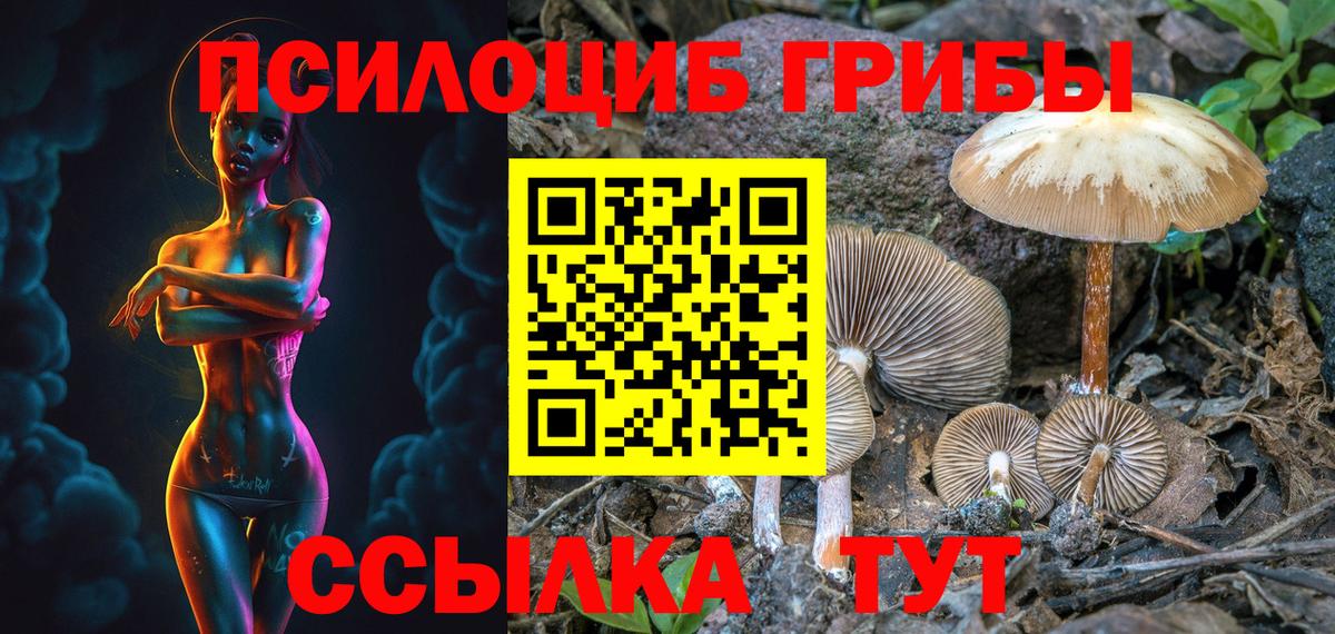 купить  цена  Псилоцибиновые грибы MAGIC MUSHROOMS  Вход с VPN  Муравленко 