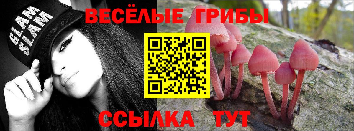 Галлюциногенные грибы MAGIC MUSHROOMS Муравленко